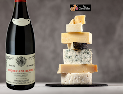 Dominique Laurent: Chorey les Beaune 2022