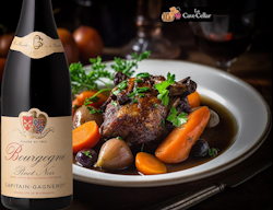 Pinot Noir Bourgogne
